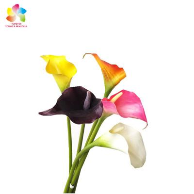 China Hot Sale Plastic Single Calla Lily For Home Real Stem Artificial Flower Touch Decoration for sale