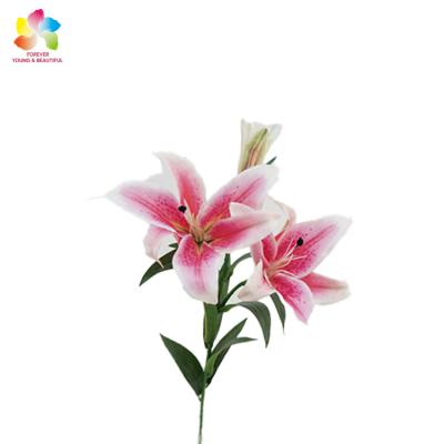 China Wholesale Artificial PU Lily Decoration Flower Tropical Calla Lily In Bulk Lily Flower real touch latex calla Lily for sale