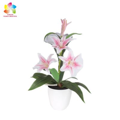 China Good Quality Hot Selling Colorful Artificial Strip Real Lily For Wedding Decoration for sale