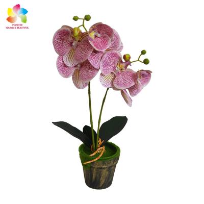 China Real Touch Artificial Flowers Real Touch Natural Butterfly Orchids Factory Supply Wholesale Wedding Decoration Flowers for sale