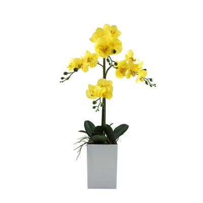 China Natural Direct Orchid Decorative Plastic Pot Simulation Flower Factory Contact Home Decorative Artificial Flowers for sale