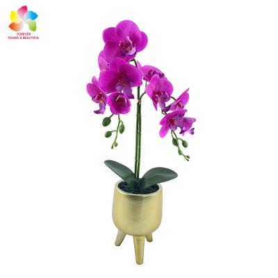 China Natural Touch Sell Home Decor High Quality Artificial Golden Basin Wedding Phalaenopsis Orchid Wholesale for sale