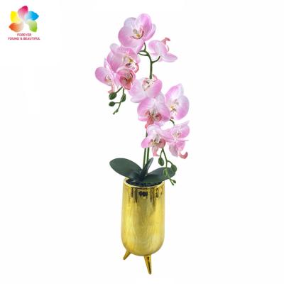 China Wholesale Natural Bottle Gold Home Decoration Phalaenopsis Artificial Flower Plant Touch Orchid for sale