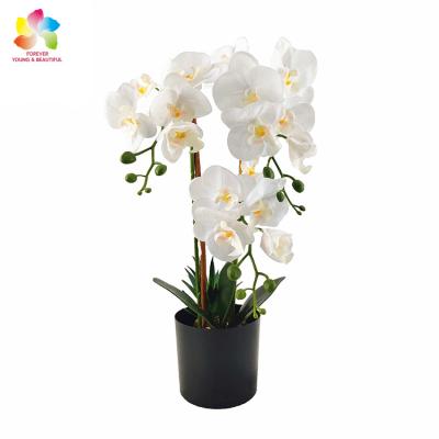 China Direct Selling Artificial Natural Orchid Manufacturer Touch Plastic Pots For Home Decoration With Wholesale Artificial Orchid Flowers for sale