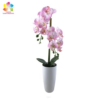 China High Quality Artificial Orchid Flowerwedding Home Decor Artificial Butterfly Orchid Wholesale Contact Selling Natural for sale