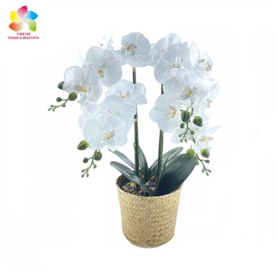 China Home Decoration Hand-Woven Natural Decorative Orchids Flower Plant Touch Artificial Flowers Pots Natural Direct for sale