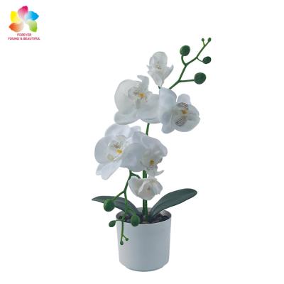 China Eco-friendly Simulation Plants Plastic Pot For Home Decor Orchid Artificial Weeding Wholesale for sale