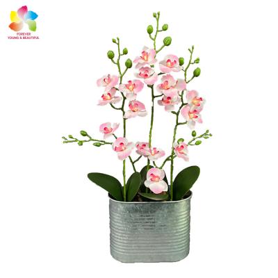 China Real Touch Nature Artificial Flower Simulation High Quality Eco-friendly Orchid Wedding Indoor Room Decor Orchid for sale