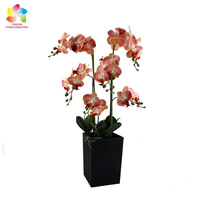 China High Grade Decorative Flower Bonsai 3d Artificial Real Touch Orchid For Home Decor for sale