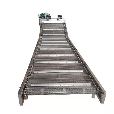 China Heat Resistant Cheap High Quality Chain Plate Conveyor Hot Sale Net Chain Conveyor for sale