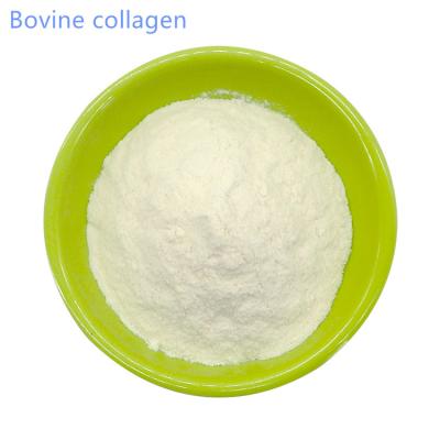 China High Quality Hydrolyzed Bovine Collagen Powder for sale