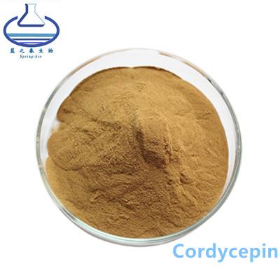 China 73-03-0 Stevia Plant Extract , 3% 5% Cordyceps Militaris Powder for sale