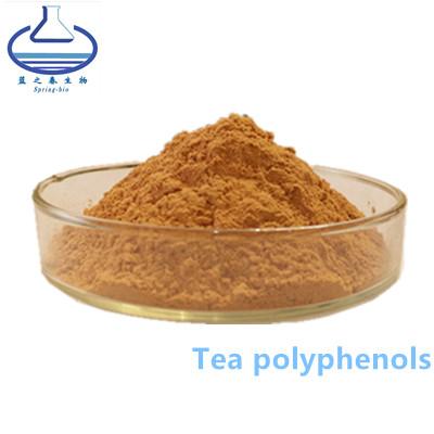 China Os Polyphenols do chá esverdeiam o extrato da peça da folha do produto comestível do pó do extrato do chá à venda