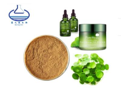 China Spring bio Gotu Kola Extract Powder , 40% 80% 90% gotu kola leaf extract for sale