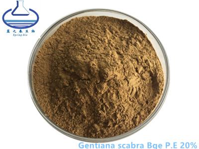 China 20% Pure Plant Extracts , Gentian Root Extract gentiana scabra bge pe for sale