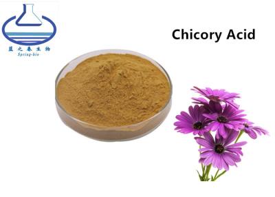 China Echinacea Angustifolia Purpurea Lutein Extract Powder Chicory Acid for sale