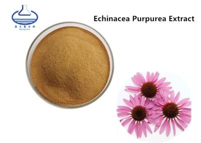 중국 Echinacea Purpurea 루테인 추출물 분말 폴리페놀 90028-20-9 판매용