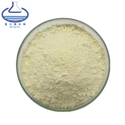 Chine CLHP CAS UV 446-72-0 de poudre d'extrait de racine de ginseng de cognassier du Japon de Sophora à vendre