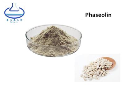 China White Kidney Bean Phaseolus Coccineus L Extract Phaseolin 1%-2% For Weight Loss for sale