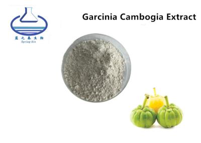 China Slimming products Organic Licorice Extract , Garcinia Cambogia Extract HCA 50% 60% for sale