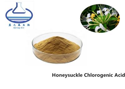 Cina COA Honeysuckle Flower Extract Chlorogenic Acid 5% CAS 327-97-9 in vendita