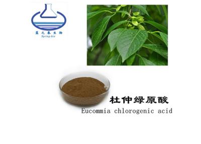 China HPLC Natural Eucommia Ulmoides Bark Chlorogenic Acid 25% 98% for sale