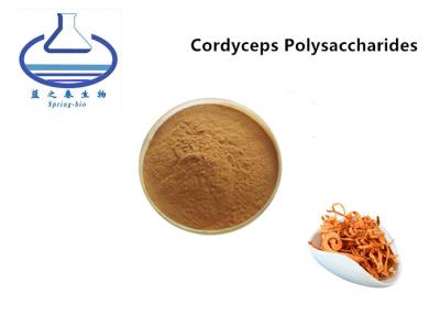 China O extrato erval natural de Cordyceps pulveriza polisacáridos de 30% 50% Cordyceps à venda