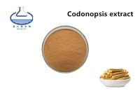 중국 자연적인 식물 Codonopsis Pilosula 추출물 브라운 정밀한 분말 약 급료 판매용
