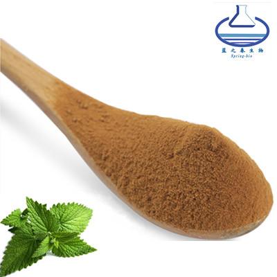 China Peppermint Extract Mint Leaf Powder Food Grade For Health Protect for sale