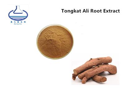 China Factory Wholesale Bulk Pure Natural Tongkat Ali Root Extract for sale