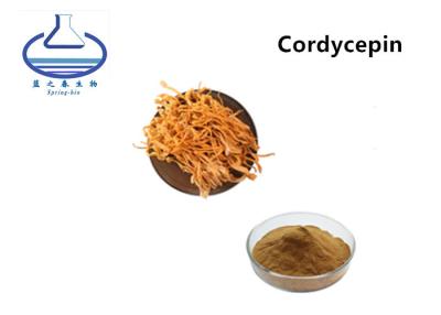 China O extrato natural de Cordyceps Militaris pulveriza o produto comestível de 3% 5% para cuidados médicos à venda