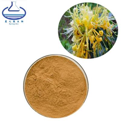 China Honeysuckle Chlorogenic Acid Extract , Lonicera Japonica Flower Extract Powder for sale