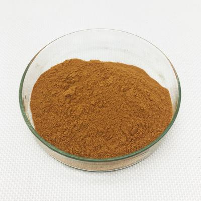 China Honeysuckle Chlorogenic Acid Extract Pure 98.0% Relieving Toxic for sale