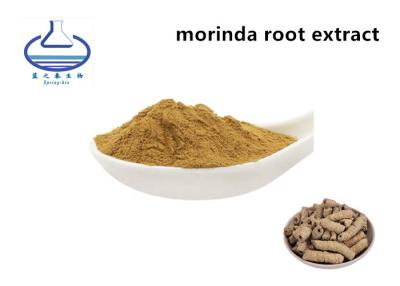 China Supply Pure Natural Morinda Officinalis Extract Powder for sale