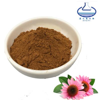 China Herbal Angustifolia Echinacea Purpurea Root Powder 90028-20-9 for sale