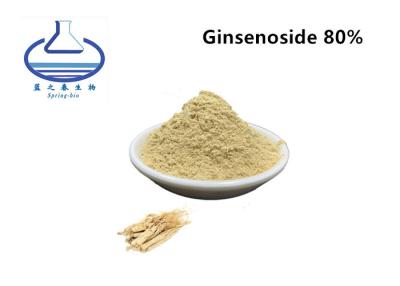 China 11021-14-0 Ginseng Root Powder 80% Ginsenoside Rg3 Rh2 Rb1 Panax for sale