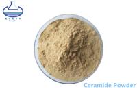 China 100403-19-8 rice bran extract powder , 10% Pure Ceramide Powder for sale