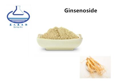 China Pure Natural High Quality Panax Ginseng Extract Ginsenoside Powder for sale