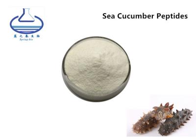 China Anti aging Sea Cucumber Powder Food Grade For Improve Immunity for sale