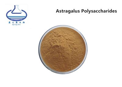 China Pharmaceutical Dietary Fiber Powder , Astragalus Polysaccharide Extract 10%-50% for sale