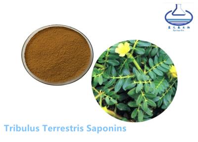 China Tribulus Terrestris Extract Powder Protodioscin CAS 55056-80-9 for sale