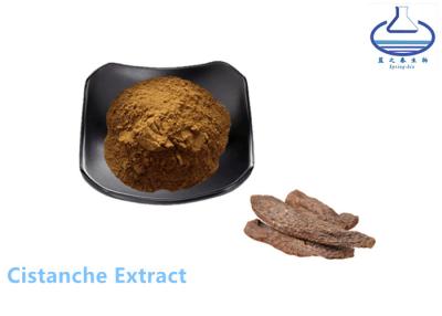 China Echinacoside Cistanche Tubulosa Extract Powder for Healthcare Products for sale