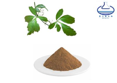 China 98% Gynostemma Pentaphyllum Leaf Extract 80321-63-7 Healthcare Grade for sale