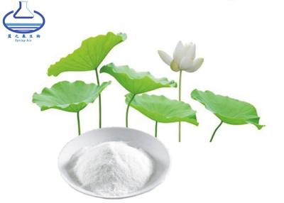 China Nuciferine 98% Lotus Leaf Extract Folium Nelumbinis Extract Powder CAS 475-83-2 for sale