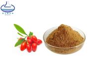 China Dried Fruit Goji Berry Extract Powder Polysaccharides CAS 107-43-7 for sale