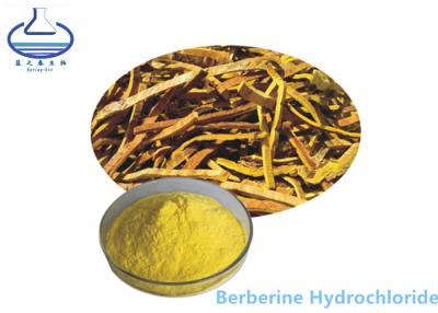 China Berberine Hydrochloride Phellodendron Amurense Extract Yellow Powder 633-65-8 for sale