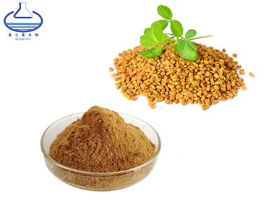 China Wholesale Bulk Fenugreek Seed Extract Saponin Powder for sale