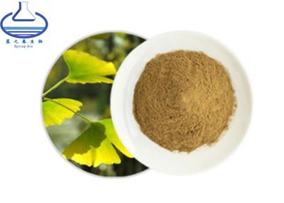 China Glycosides 24% Ginkgo Lactone 6% Ginko Biloba Extract Powder for sale