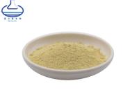 China Rhizoma Kaempferia Galanga Extract 50% Kaempferol Powder for sale