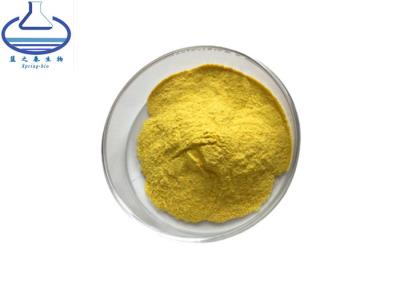 China Extrato de raiz de Scutellaria Baicalensis Baicalin Powder CAS 21967-41-9 à venda